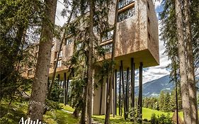 My Arbor - Dolomites